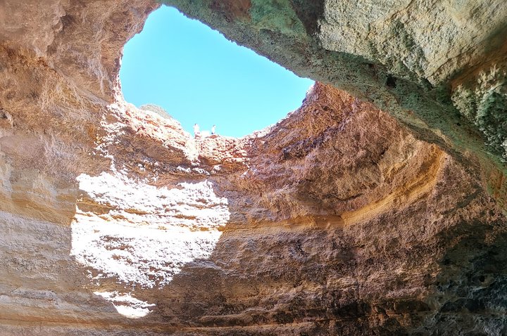 Dolphins Search and Benagil Caves from Albufeira