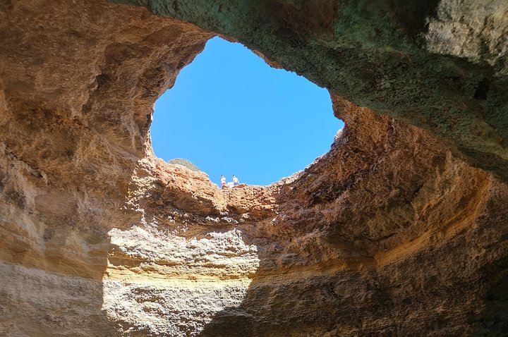Dolphins Search and Benagil Caves from Albufeira
