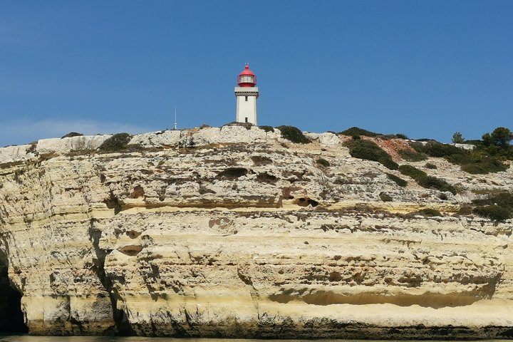 Dolphins Search and Benagil Caves from Albufeira