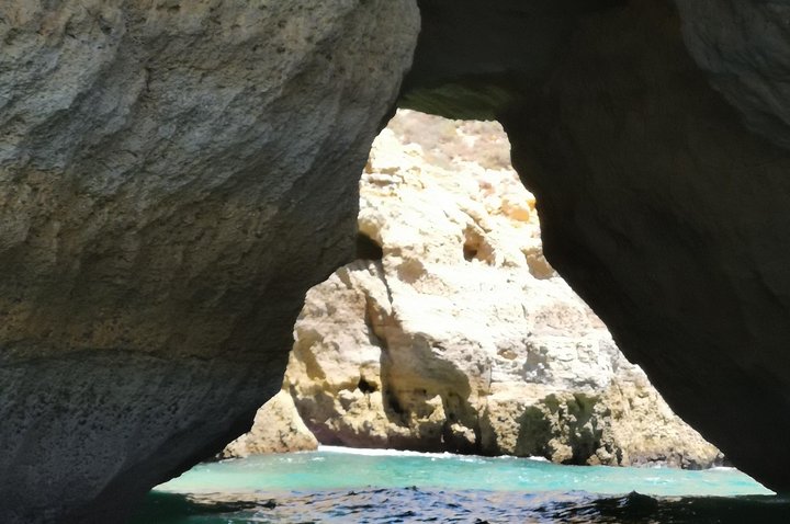 Dolphins Search and Benagil Caves from Albufeira