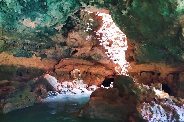 Dolphins Search and Benagil Caves from Albufeira