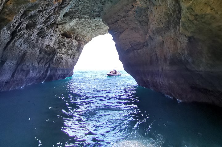 Dolphins Search and Benagil Caves from Albufeira