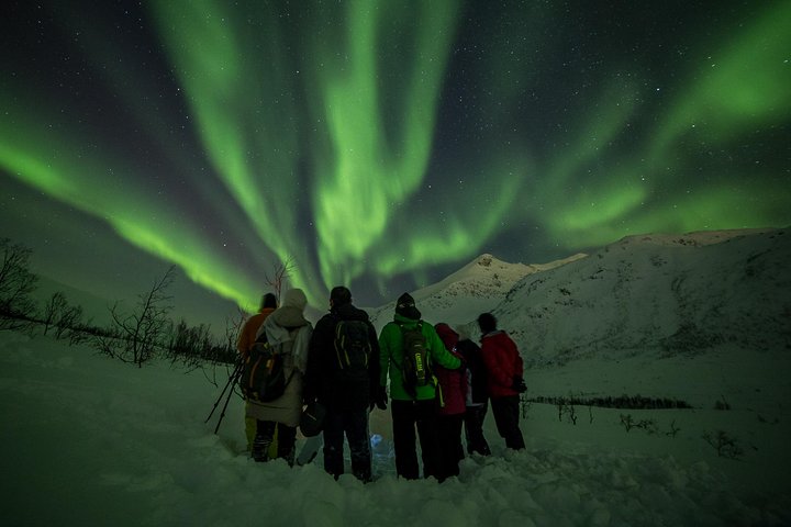 Tromsø: Chasing Northern Lights – We Go Where The Lights Appear
