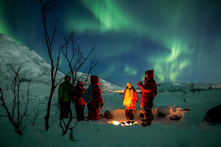 Tromsø: Chasing Northern Lights – We Go Where The Lights Appear