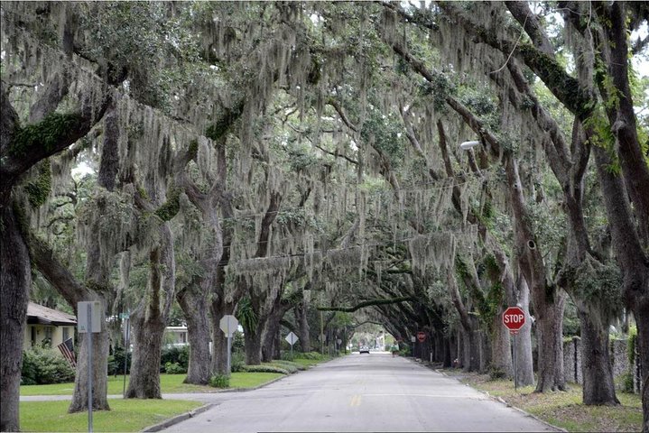 St. Augustine Hop-On Hop-Off Trolley Tour