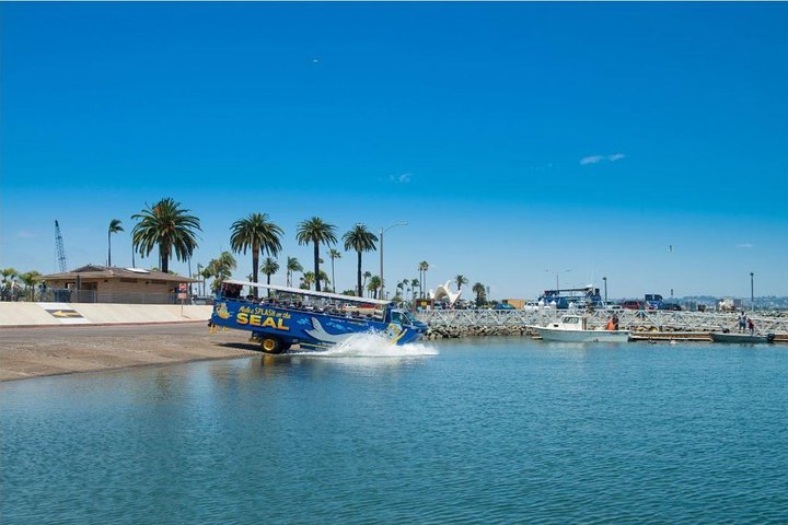 San Diego Seal Tour