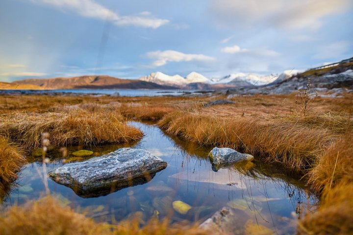 Arctic Nature Tour from Tromsø