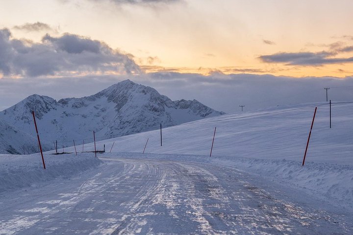 Arctic Nature Tour from Tromsø