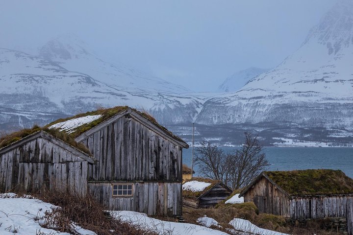 Arctic Nature Tour from Tromsø