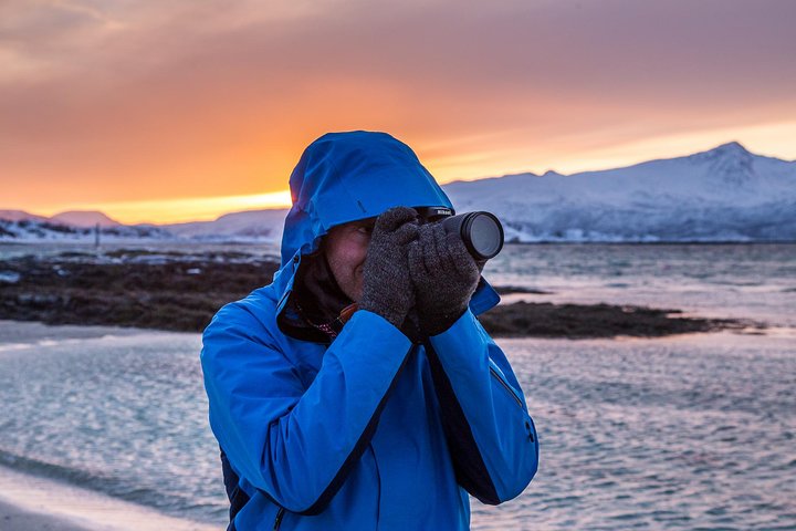 Arctic Nature Tour from Tromsø