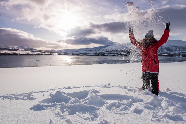 Arctic Nature Tour from Tromsø