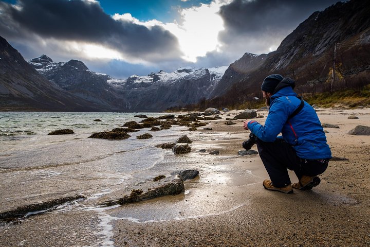 Arctic Nature Tour from Tromsø