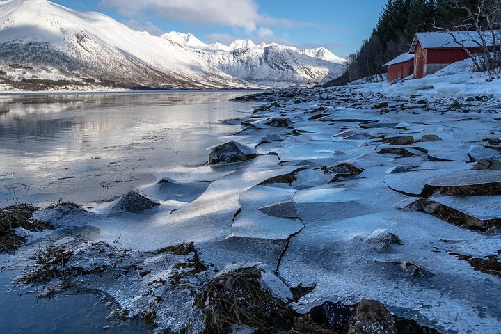 Arctic Nature Tour from Tromsø