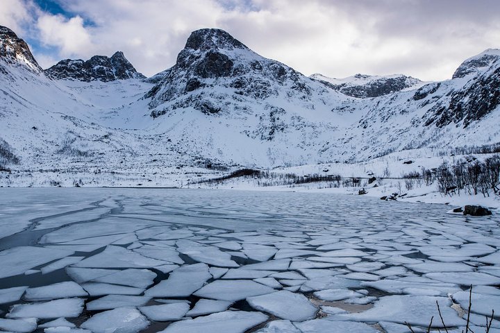 Arctic Nature Tour from Tromsø