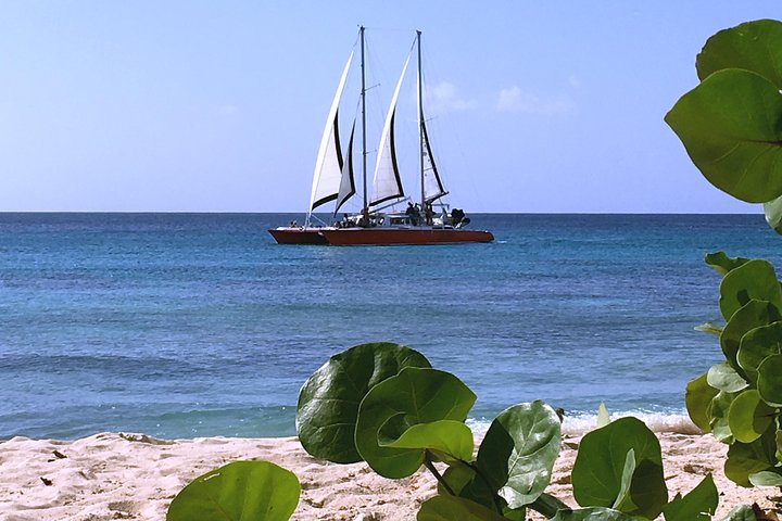 Barbados Catamaran Turtle and Shipwreck Snorkeling Cruise