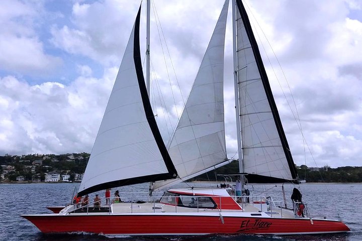 Barbados Catamaran Turtle and Shipwreck Snorkeling Cruise