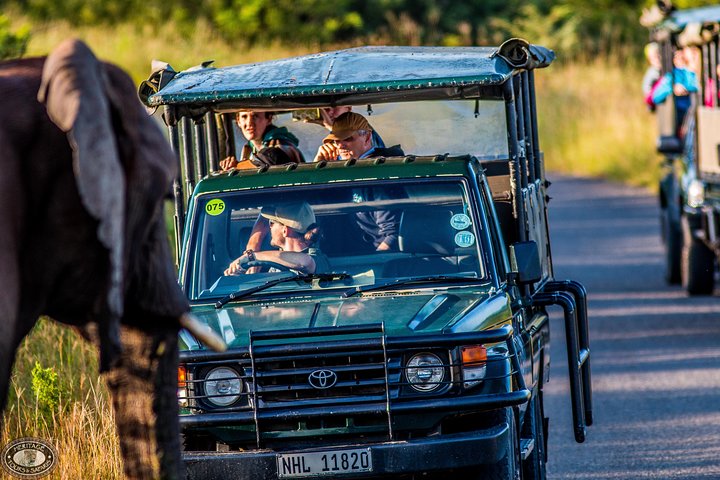 Hluhluwe-Imfolozi Park Full Day Big 5 Safari Tour