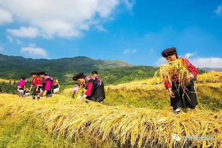 Full-day Tour: Longji Rice Terraces & Minority Villages