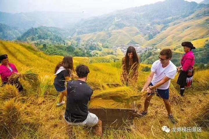 Full-day Tour: Longji Rice Terraces & Minority Villages