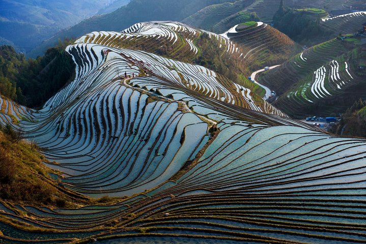 Full-day Tour: Longji Rice Terraces & Minority Villages