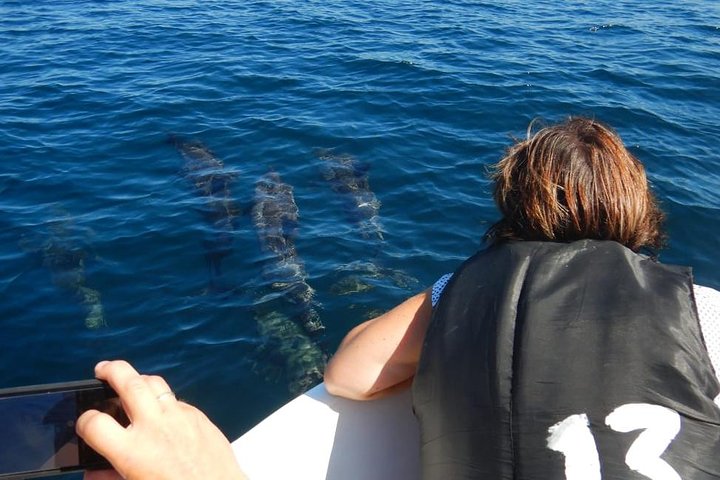 Sunrise dolphin watching experience and Bar Reef snorkelling – Kalpitiya