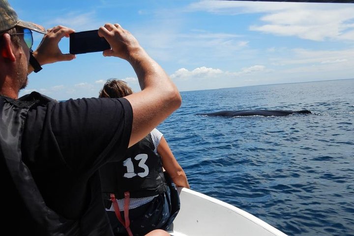 Sunrise dolphin watching experience and Bar Reef snorkelling – Kalpitiya