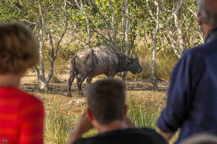 iSimangaliso Wetland Park, Full Day Tour