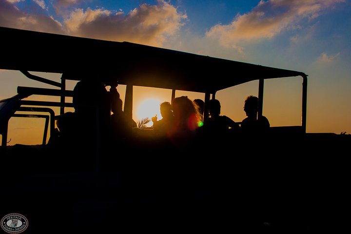 iSimangaliso Wetland Park, Full Day Tour