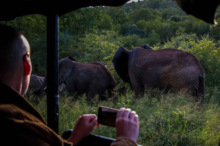 iSimangaliso Wetland Park, Night Drive Safari
