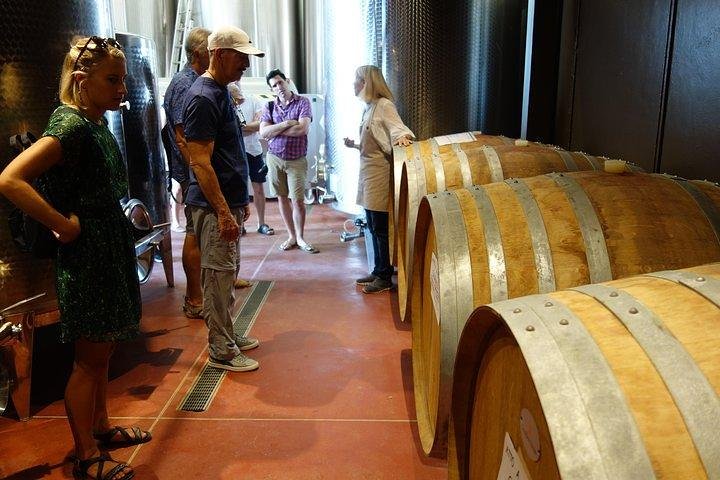 Wine Tour with Lunch and Wine Tasting