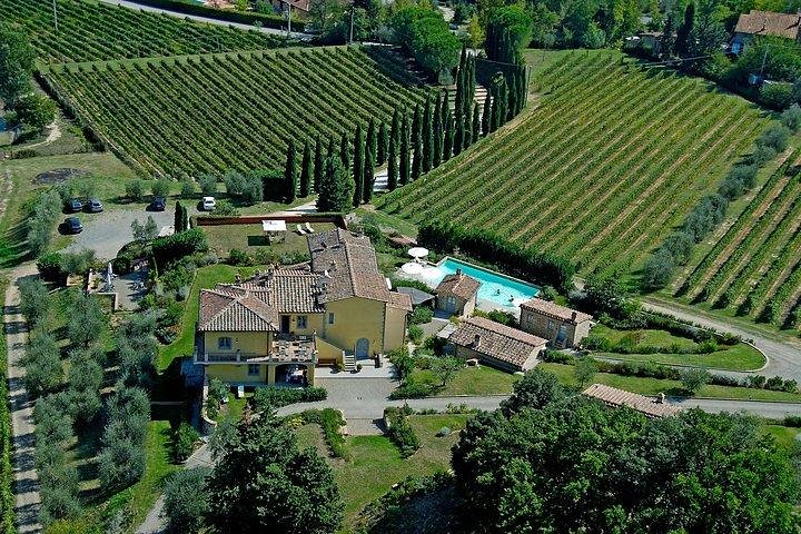 Wine Tour with Lunch and Wine Tasting