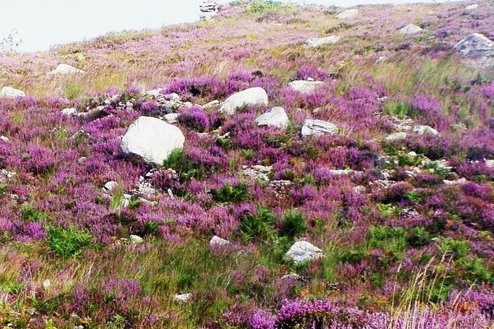 Self Guided Electric Bike Tour of Historical Sites in the Burren Co Clare