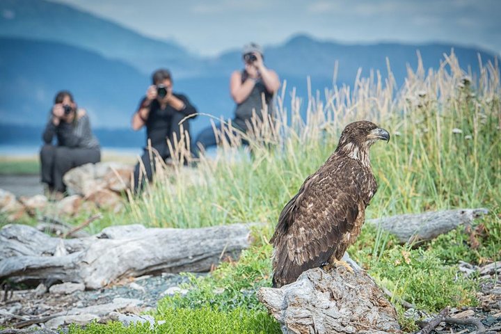 Focus on Haines Private Nature / Photography tour