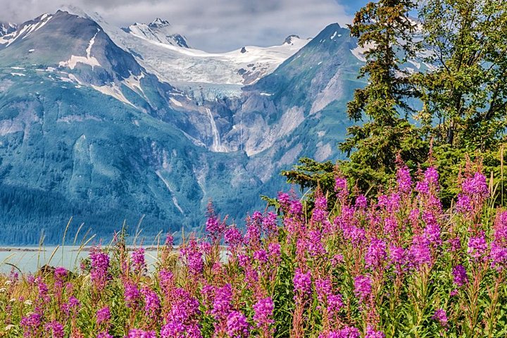 Focus on Haines Private Nature / Photography tour