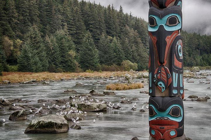 Focus on Haines Private Nature / Photography tour