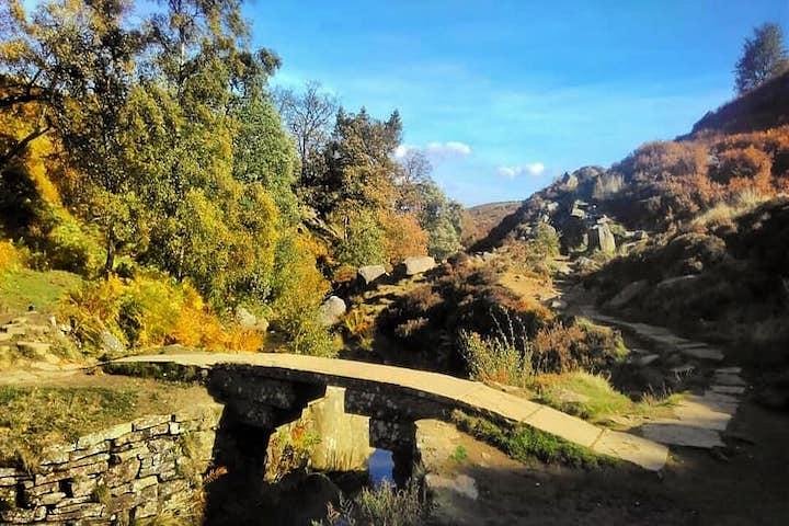 Private Tour - Haworth, Bolton Abbey and Yorkshire Dales Day Trip from Harrogate