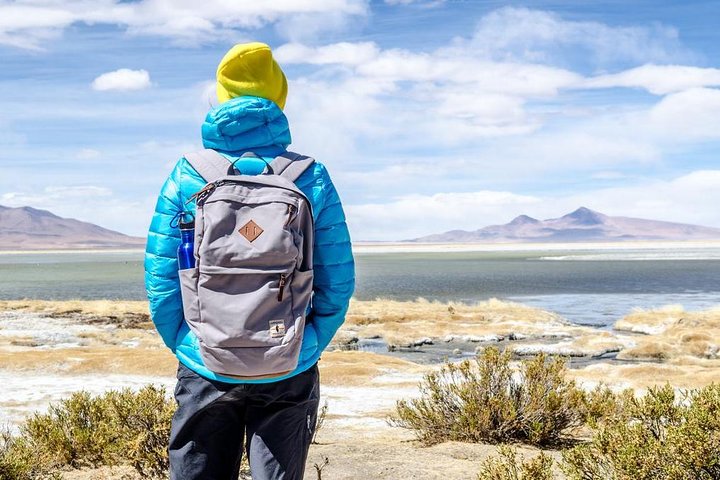 4-Day Best of Atacama: Moon Valley, Tatio Geysers and Altiplanic Lagoons