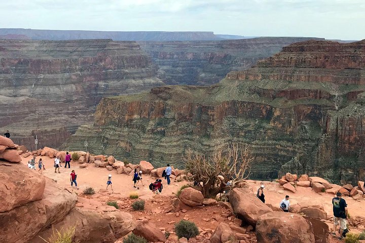 Grand Canyon West Skywalk Western Ranch Joshua Forest