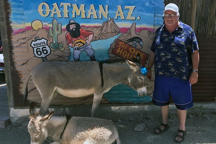 Oatman Mining Camp & Burros: Historic Route 66 Tour from Laughlin