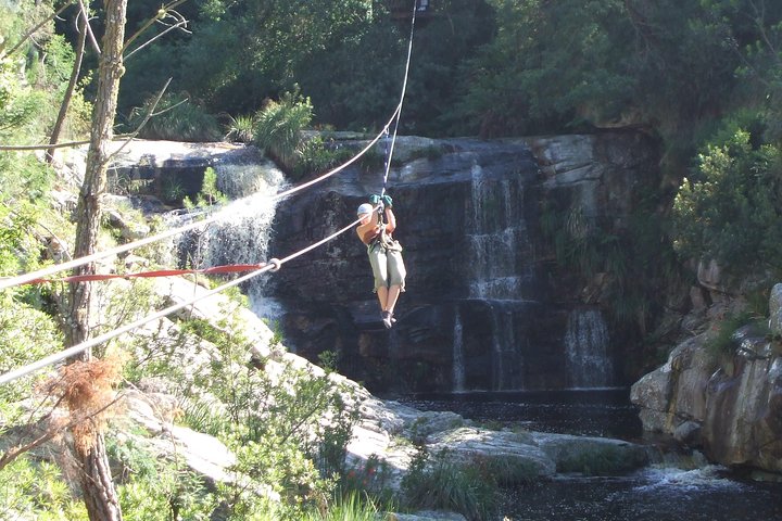 Ziplining in Elgin
