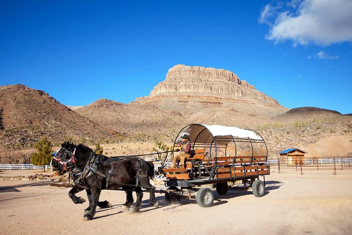 Horseback Ride Joshua Tree Forest Buffalo Lunch Singing Cowboy