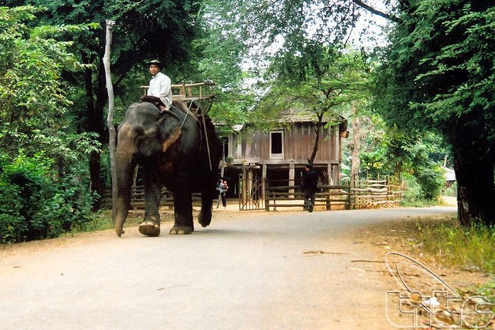 Easy Riders Buon Ma Thuot - Daily Tour.