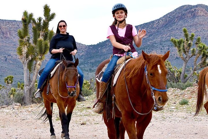 Horseback Ride Joshua Tree Forest Buffalo Lunch Singing Cowboy