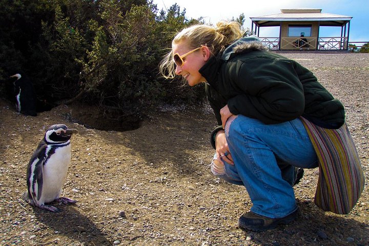Cruise Shore Excursion Punta Tombo with Boxlunch from Pto Madryn