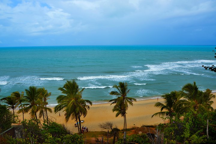 1 Day Tour to Pipa Beach / RN - Departing from Natal / RN
