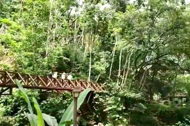 10 in 1 Puntarenas Highlights tour