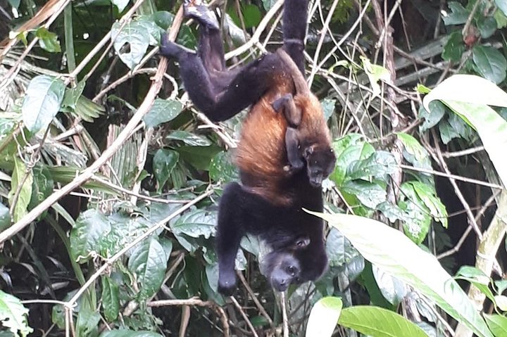 Puntarenas sightseeing tour