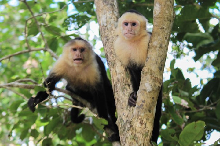 Puntarenas sightseeing tour