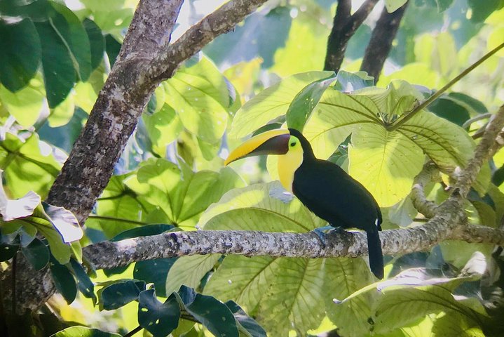 Puntarenas sightseeing tour