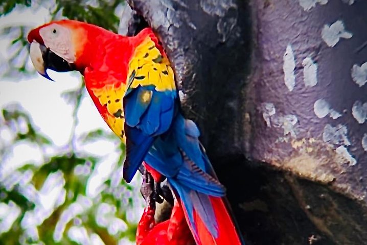 Puntarenas sightseeing tour